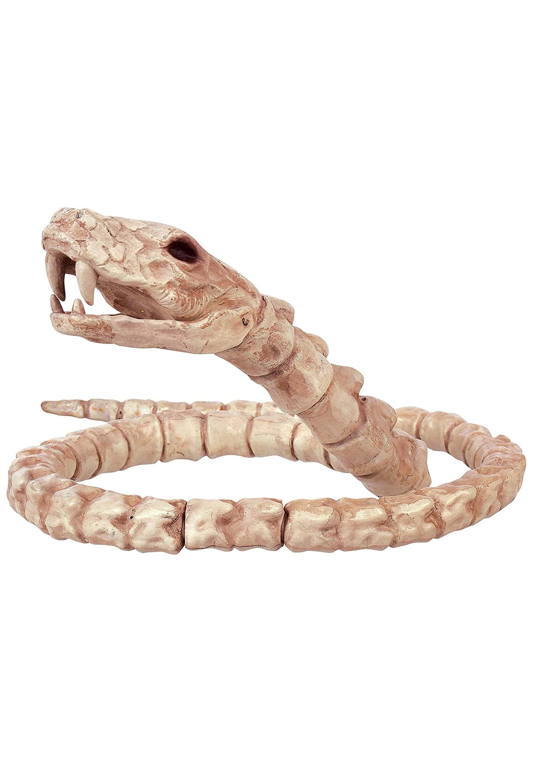 Slithering Snake Skeleton