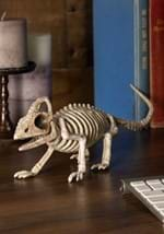 8" Lizard Skeleton