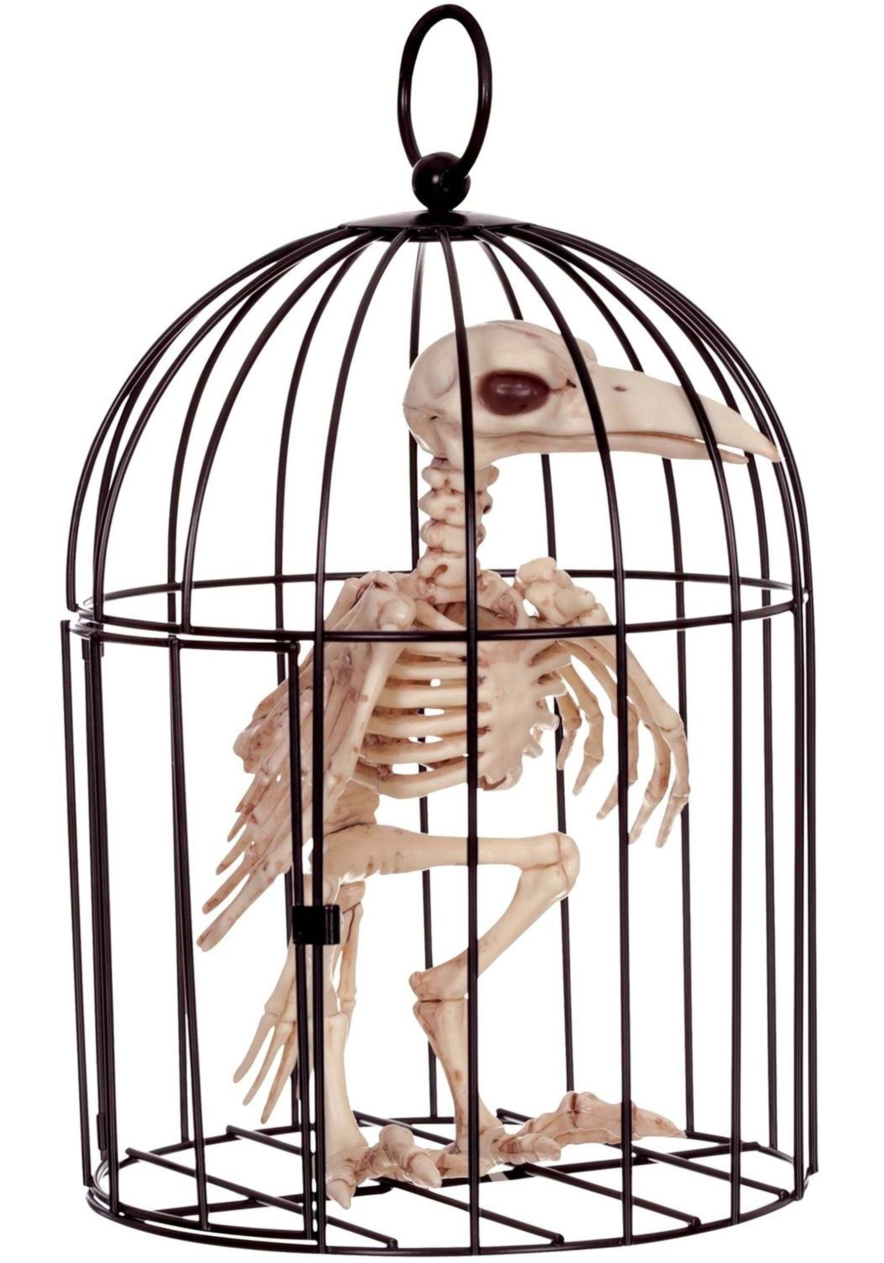 9.5 Inch Skeleton Raven in Cage | Animal Skeleton Decor