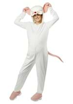 Adult Pinky and the Brain Brain Costume Alt3