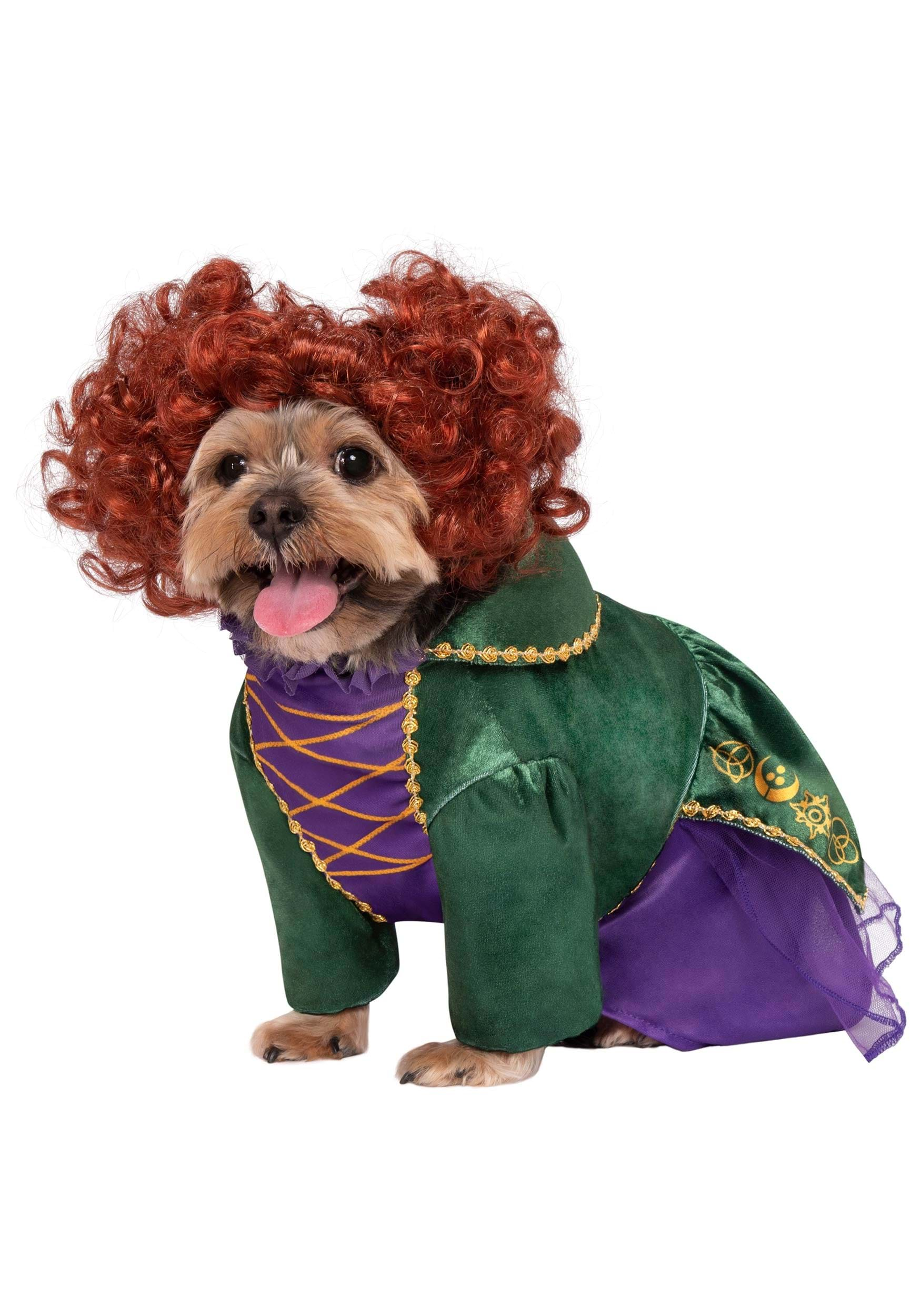 Photos - Fancy Dress Rubies Costume Co. Inc Hocus Pocus Winifred Sanderson Pet  Cost 