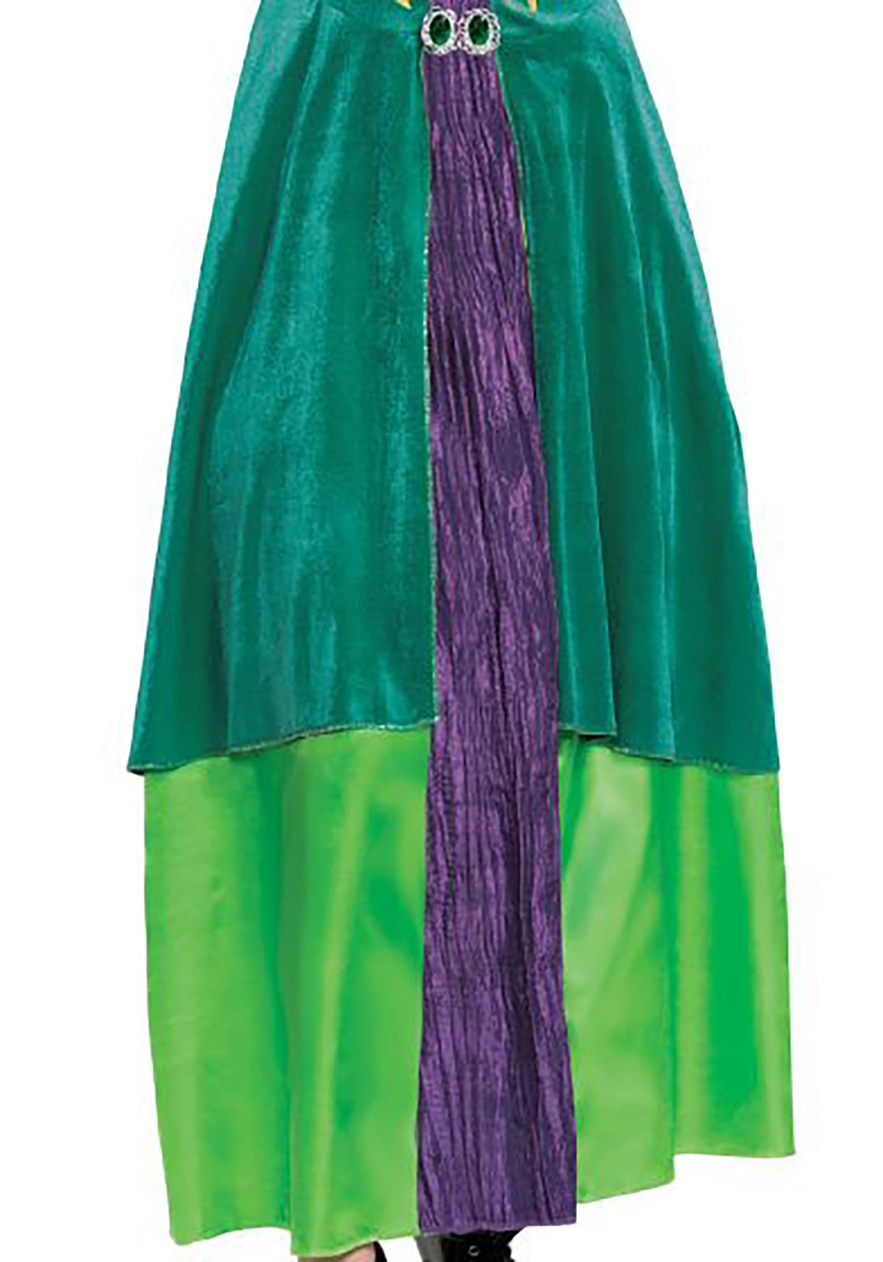 Hocus Pocus Deluxe Wini Women's Fancy Dress Costume Dress , Disney Fancy Dress Costumes