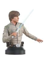 GENTLE GIANT STAR WARS THE EMPIRE STRIKES BACK LUKE 1/6 SCAL