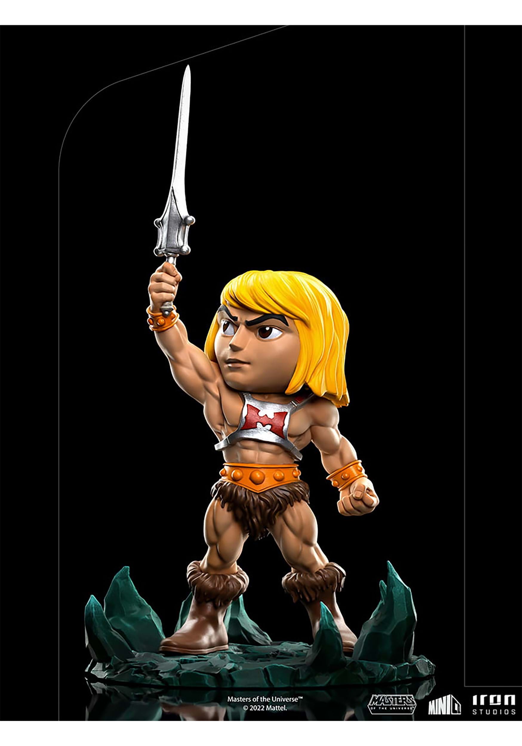 Masters Of The Universe He-Man MiniCo