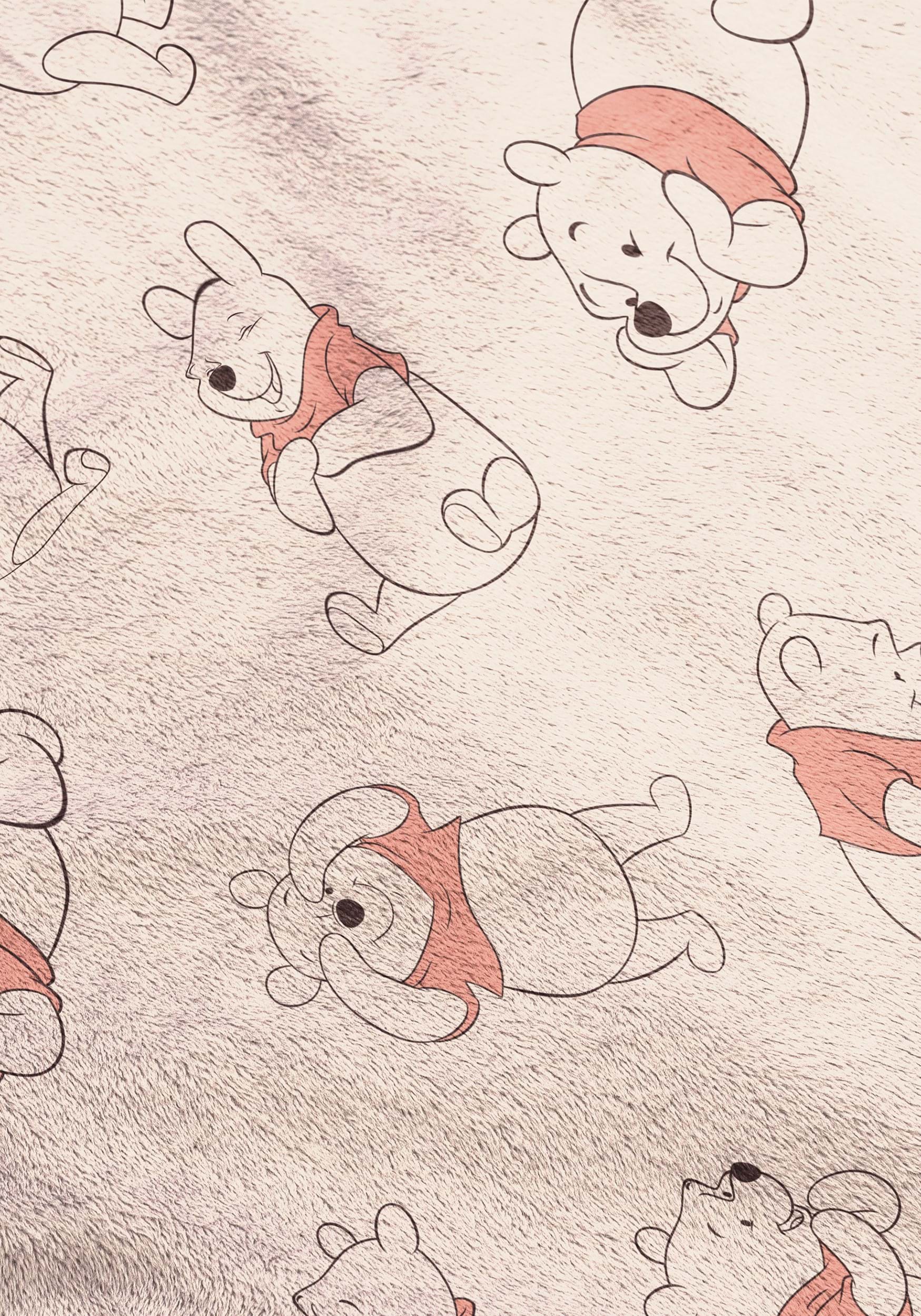 46x60 Silk Touch Throw Disney Winnie The Pooh , Disney Blankets