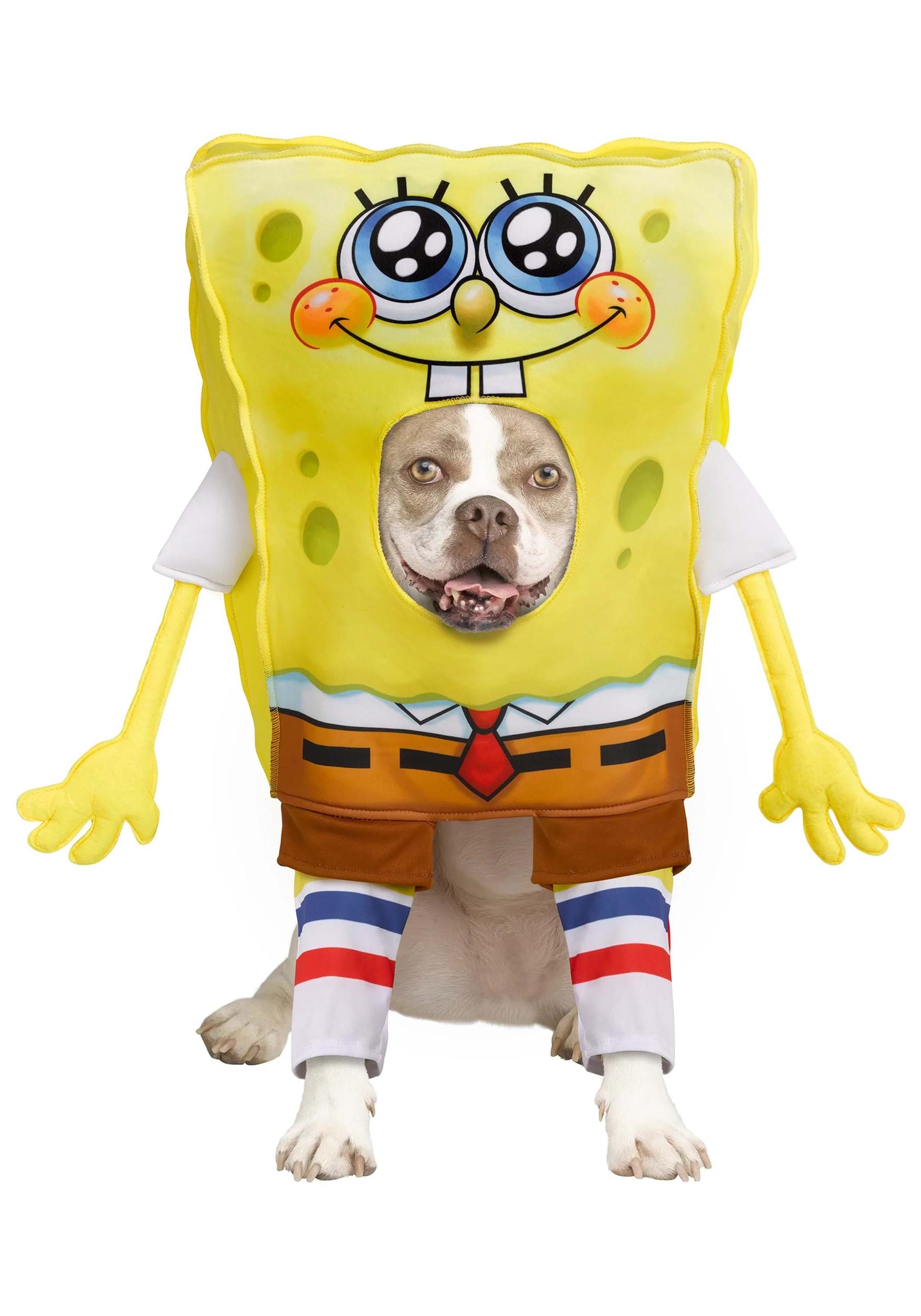 SpongeBob SquarePants Pet Fancy Dress Costume