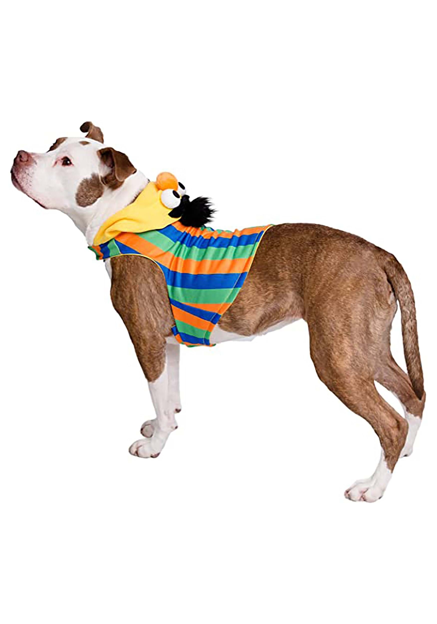 Sesame Street Bert Fancy Dress Costume For Pets