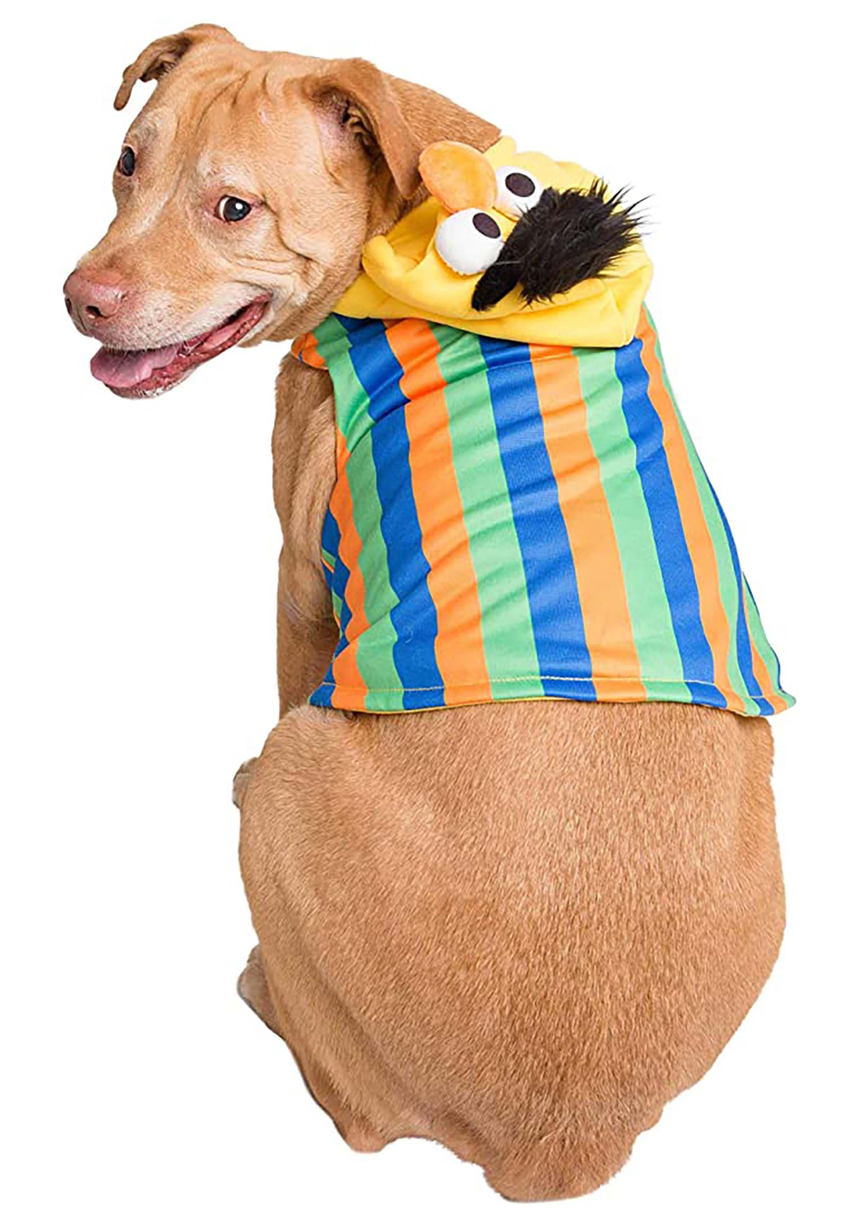 Sesame Street Bert Fancy Dress Costume For Pets