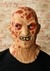 Adult Realistic Freddy Krueger Mask
