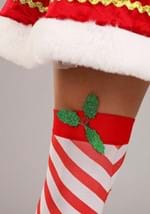Deluxe Festive Elf Womens Costume Alt 5