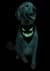 Glow in the Dark Jack O Lantern Pet Dog Bandana Alt 2
