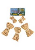 Wizard of Oz Five-Piece Straw Scarecrow Kit