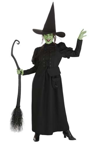 Adult Wizard of Oz Wicked Witch Costume