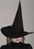 Adult Wizard of Oz Wicked Witch Costume Alt 2
