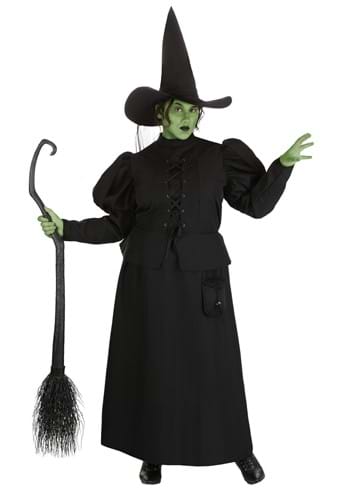 Plus Size Wizard of Oz Wicked Witch Costume