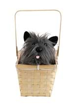 Toto in a Basket Alt 1