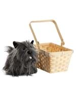 Toto in a Basket Alt 2